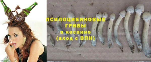 мдпв Беломорск