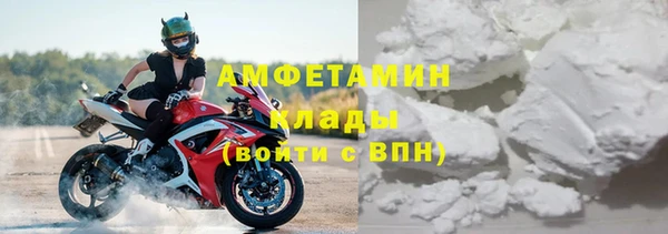 индика Белоозёрский