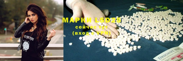 индика Белоозёрский