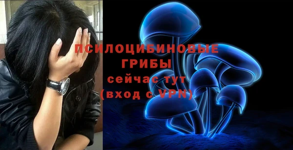 мдпв Беломорск